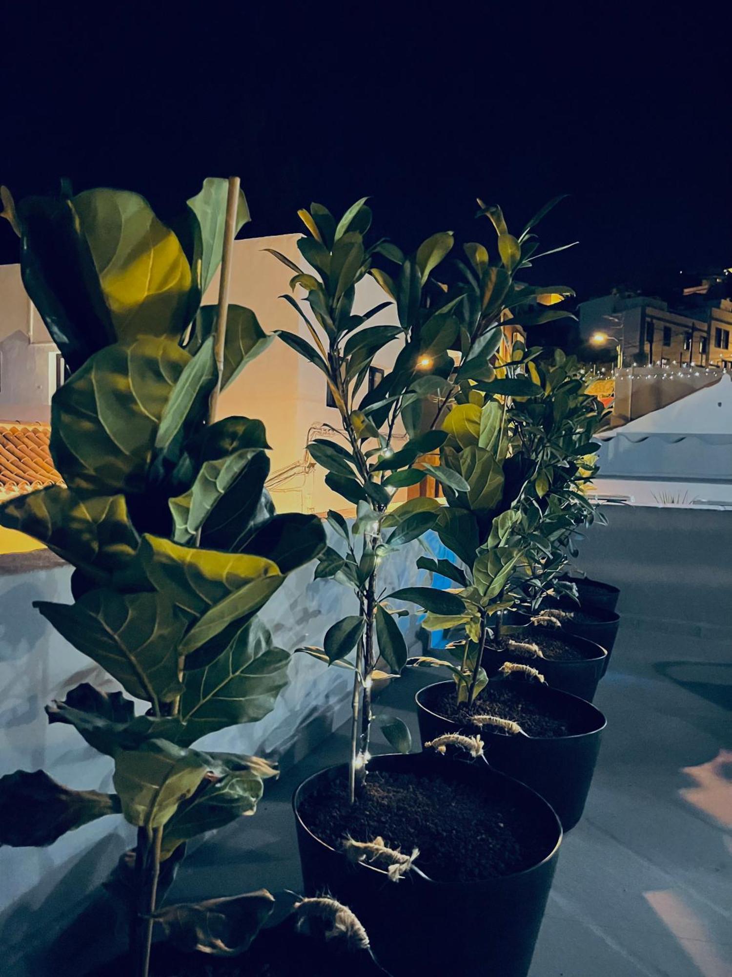 Plaza De La Fuente Granadilla De Abona Tenerife Sur Only Adults Con Terraza Privada Extérieur photo